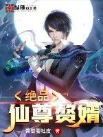 绝品仙尊赘婿章节列表