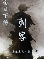 白日下的刺客章节列表