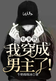 好家伙，我穿成男主了！章节列表