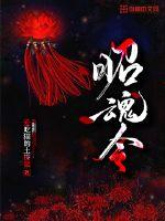 昭魂令章节列表