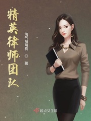 精英律师团队章节列表