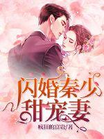 闪婚秦少甜宠妻章节列表
