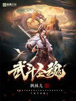 武斗圣魂章节列表