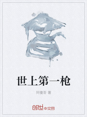 世上第一枪章节列表