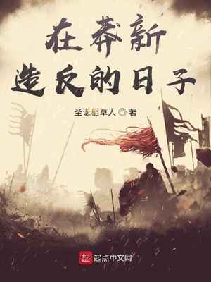 在莽新造反的日子章节列表