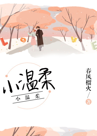 小温柔章节列表