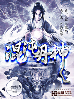 混沌丹神章节列表