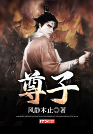 尊子章节列表
