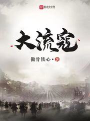 大流寇章节列表