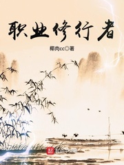 职业修行者章节列表