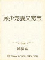 顾少宠妻又宠宝章节列表