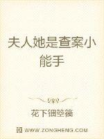 夫人她是查案小能手章节列表