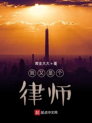 我又是个律师章节列表
