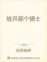 放开那个骑士章节列表