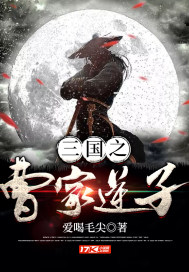 三国之曹家逆子章节列表