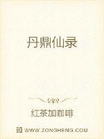 丹鼎仙录章节列表