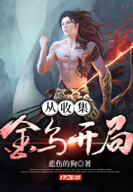 从收集金乌开局章节列表