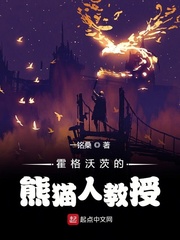 霍格沃茨的熊猫人教授章节列表