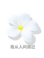 我从人间路过章节列表