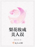梨花妆成美人误章节列表