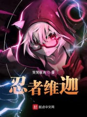 木叶之忍者维迦章节列表
