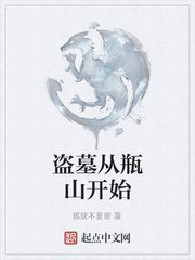 盗墓从瓶山开始章节列表
