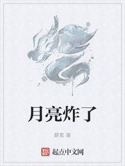 月亮炸了章节列表