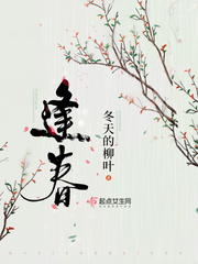 冯橙陆玄章节列表