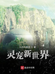 灵宠新世界章节列表