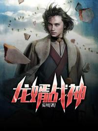 龙婿战神肖阳章节列表