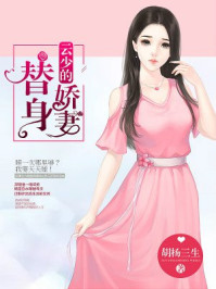 云少的替身娇妻章节列表