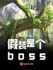 假装是个boss章节列表