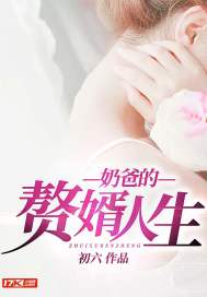 奶爸的赘婿人生章节列表