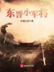 东晋小军将章节列表