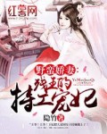 野蛮娇妻：残王的特工宠妃章节列表