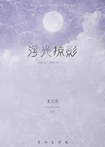 浮光掠影(校对版)章节列表