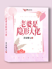老婆是隐形大佬章节列表