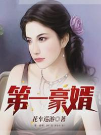 第一豪婿何佳伟章节列表