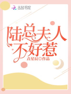 陆总夫人不好惹章节列表
