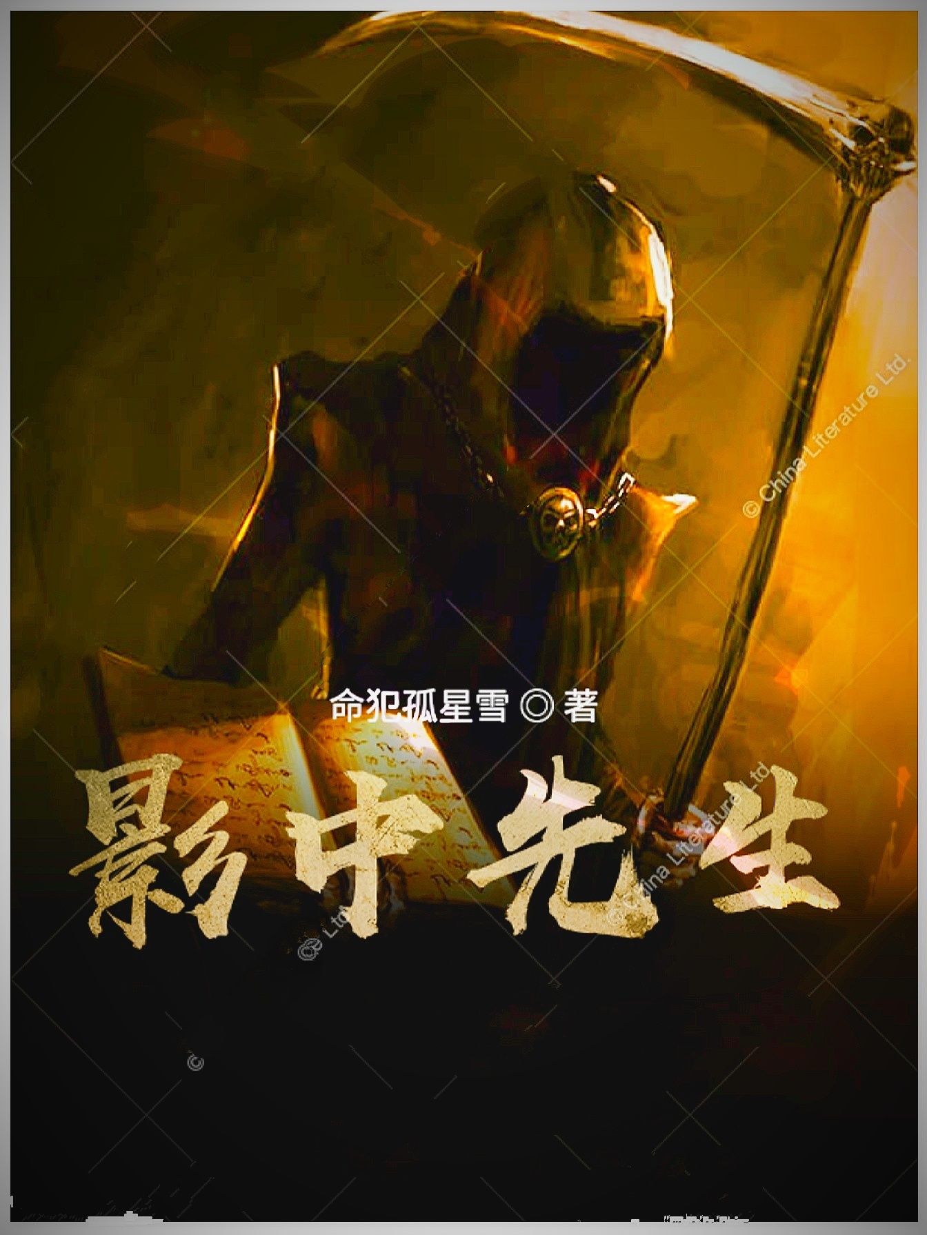 影中先生章节列表