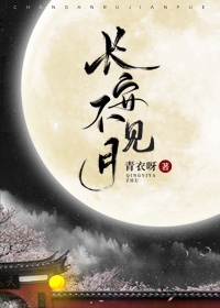 长安不见月章节列表