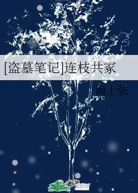 [盗墓笔记]连枝共冢章节列表