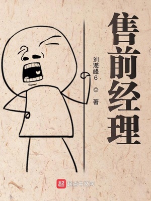 售前经理章节列表
