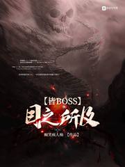 目之所及皆BOSS章节列表