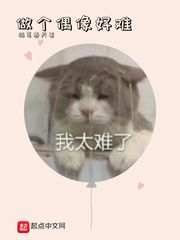 做个偶像好难章节列表