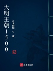 大明王朝1500章节列表