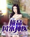 极品风水神医章节列表