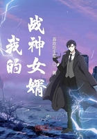 我的战神女婿肖晨章节列表