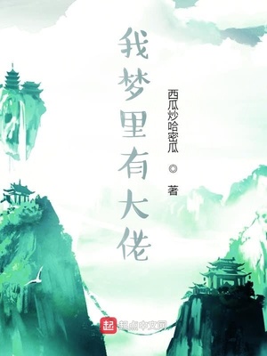 我梦里有大佬章节列表