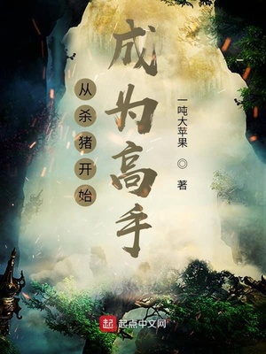 从杀猪开始成为高手章节列表